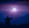 Wizard standing on a hill and welcome rising of the moon