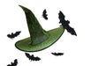 Wizard Witch hat decorated with flying bats and glowing spiderwebs and pointed tip. isolated