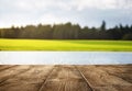 Wmpty wooden pier over the lake Royalty Free Stock Photo