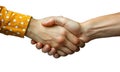 Groups of multinational people shaking hands and style of communication High quality photo Royalty Free Stock Photo
