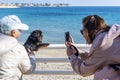 Wo  woman photographing a dog on beach Royalty Free Stock Photo