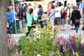 Weekly green market in Gmunden, Upper Austria; Austria, Europe