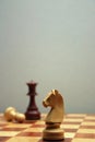Wodden chess figures Royalty Free Stock Photo