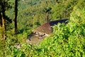 Wodden long house in Longwa tribal village, Mon, Nagaland, India, Myanmar