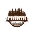 Rustic vintage evergreen, pines, spruce, cedar trees logo design vector Royalty Free Stock Photo