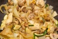 Wok dish - chicken and vegetables