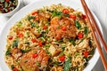 Wok noodles with chicken and tofu on a white plate Royalty Free Stock Photo