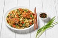 Wok noodles with chicken and tofu on a white plate Royalty Free Stock Photo