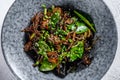 Wok. Soba stir fry noodles with beef and vegetables. Gray background. Top view Royalty Free Stock Photo