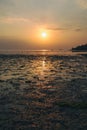 Wok Tum, Hin Kong, Plai Lem beach area of wetland with mangrove forest at Koh Pha ngan island beachfront sea shore area at low tid