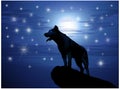 Wolf against the moon and stars