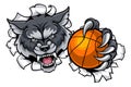 Wolf Basketball Mascot Breaking Background Royalty Free Stock Photo