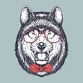 Wolf angry hand drawn wearing a red glasses and bow tie Royalty Free Stock Photo