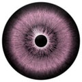 Wolf animal 3d eyeball pink and black