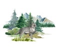 Wolf animal in forest landscape. Watercolor illustration. Wild wolf standing in forest scene. Rustic print image. Furry