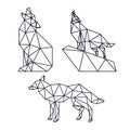 Wolf animal low poly