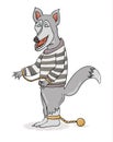 Wolf with chains in striped shirt Royalty Free Stock Photo