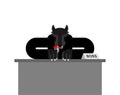 Wolf boss isolated. Predator businessman. vector illustration Royalty Free Stock Photo
