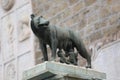 she-wolf called LUPA CAPITOLINA in Rome in Italy