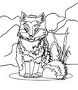 Wolf coloring page Royalty Free Stock Photo