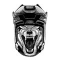 Wolf, dog animal wearing hockey helmet. Hand drawn image of lion for tattoo, t-shirt, emblem, badge, logo, patch. Royalty Free Stock Photo