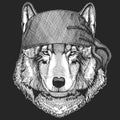 Wolf Dog Cool pirate, seaman, seawolf, sailor, biker animal for tattoo, t-shirt, emblem, badge, logo, patch. Image with