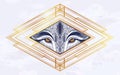 Wolf eyes in geometric setting.Dreamy magic art. Night, nature, wicca symbol. Isolated vector illustration. Great