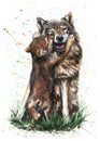 Wolf - Father and Son Royalty Free Stock Photo
