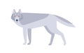 Wolf flat vector illustration. Scandinavian style wild animal isolated on white background. Grey canine mammal, wildlife