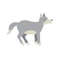 Wolf flat vector illustration. Scandinavian style wild animal isolated on white background. Grey canine mammal, wildlife Royalty Free Stock Photo