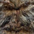 Wolf fur Wolf fur texture for background Royalty Free Stock Photo