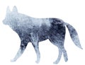 Wolf gray watercolor silhouette, on white background, isolated