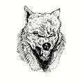 Wolf growling muzzle front view. Ink black and white doodle drawing Royalty Free Stock Photo