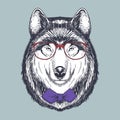Wolf hand drawn wearing a red glasses and bow tie Royalty Free Stock Photo