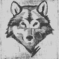 Wolf head hand drawn sketch grunge texture