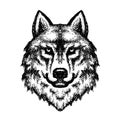 Wolf head logo 28, Detailed ink drawing Royalty Free Stock Photo