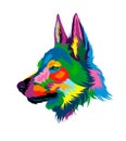 Wolf head portrait from multicolored paints. Splash of watercolor, colorful drawing, realistic Royalty Free Stock Photo
