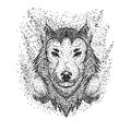 Wolf headphone particle vector illustration