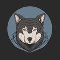 Wolf hoodie vector illustration