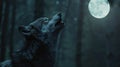 Wolf howling on full moon at night. Howling Wolf in Wilderness Royalty Free Stock Photo