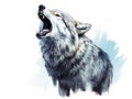 Wolf Howling Illustration Isolated Royalty Free Stock Photo