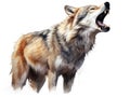 Ai Generated illustration Wildlife Concept of Wolf Howling Illustration Isolated Royalty Free Stock Photo