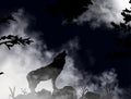 Wolf howling at the moon inside the deep dark mountain forest. The moon is shining on the sky through clouds. Vector Royalty Free Stock Photo