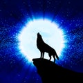 Wolf howling at the moon Royalty Free Stock Photo