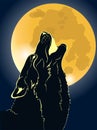 Wolf howling at the moon Royalty Free Stock Photo