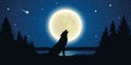 Wolf howls to the full moon in a starry night Royalty Free Stock Photo