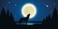 Wolf howls to the full moon in a starry night Royalty Free Stock Photo