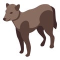 Wolf icon, isometric style Royalty Free Stock Photo