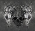 Wolf illustration with skull. Tattoo