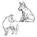 Wolf ink drawings. Nature forest animals sketches collection. Monochrome simple style. Vector drawings set.